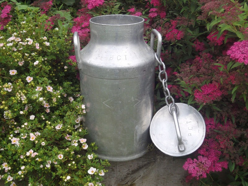 Bidon  lait de ferme en aluminium pais