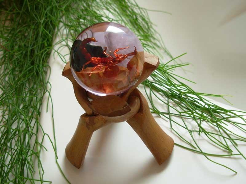 Boule de résine - Scorpion malgache