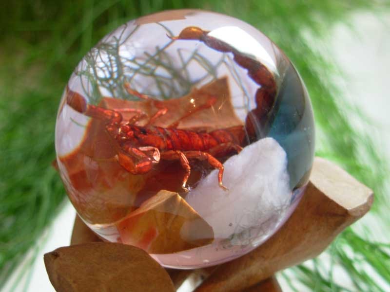 Boule de résine - Scorpion malgache