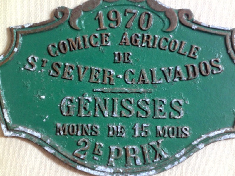 HORSES HORSE COMPETITION PLATE 1st Prix des Touristes